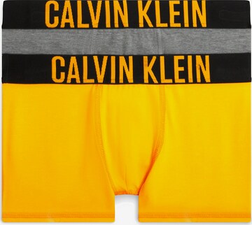 Calvin Klein Underwear Onderbroek 'Intense Power' in Gemengde kleuren: voorkant