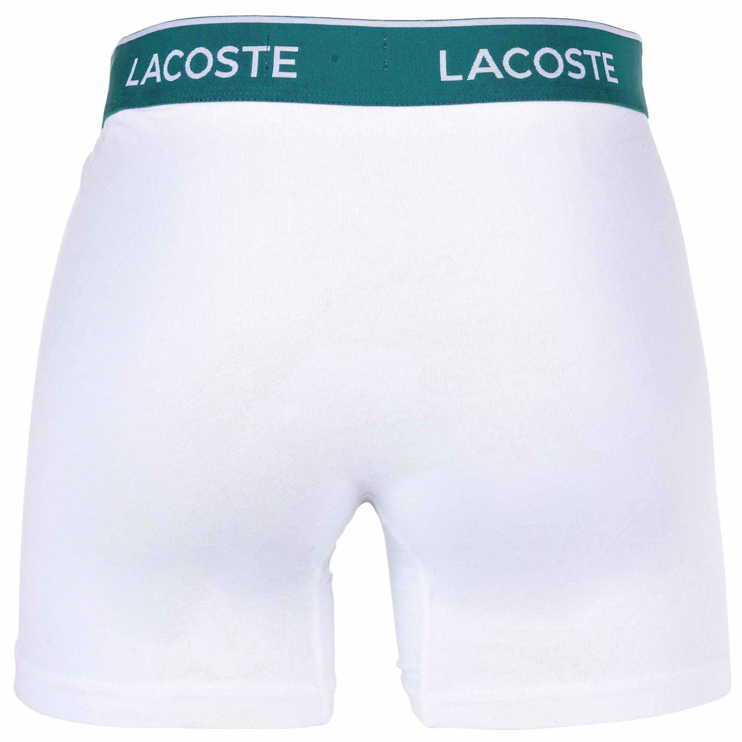 LACOSTE Boxer shorts in Grey