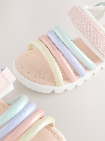 Next Sandalen in Gemengde kleuren