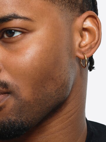 Heideman Oorbel 'Henrik' in Goud