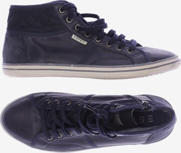 ESPRIT Sneakers & Trainers in 37 in Blue: front