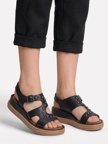 Maciejka Sandals 'L7632-01/00-1' in Black
