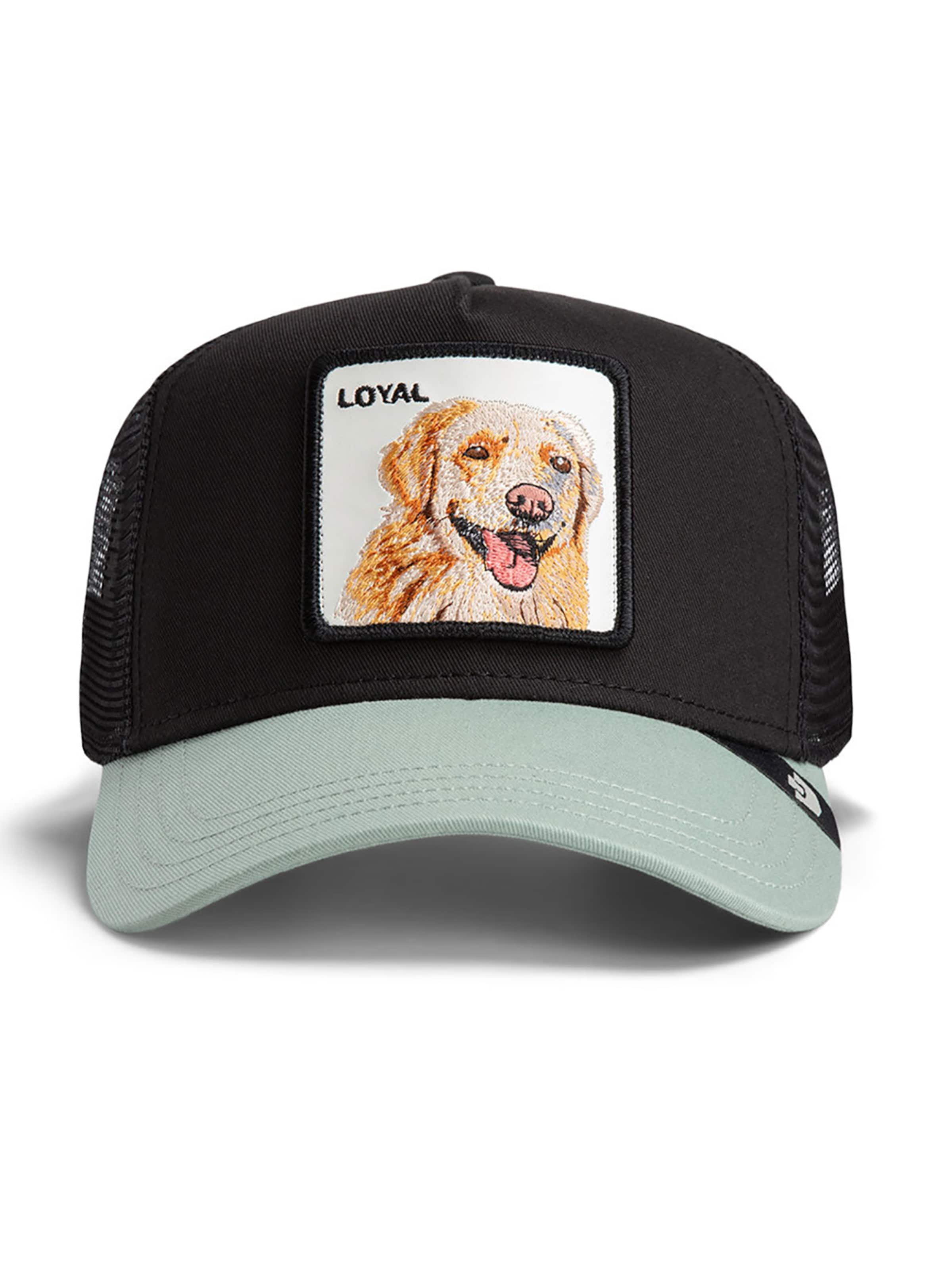 GOORIN Bros. Pet 'The Loyal Dog' in Zwart: voorkant