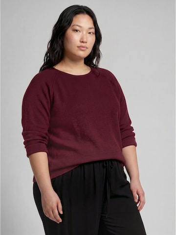 Tom Tailor Women + - Pullover em roxo: frente