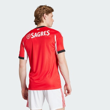 ADIDAS PERFORMANCE - Camiseta de fútbol 'Benfica 25/26' en rojo