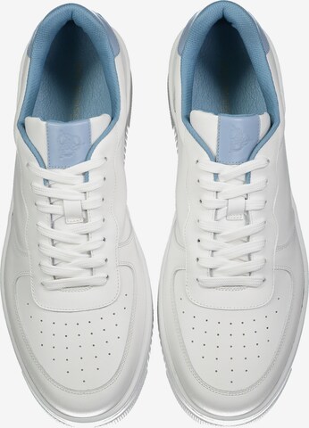 ROY ROBSON Sneakers in White