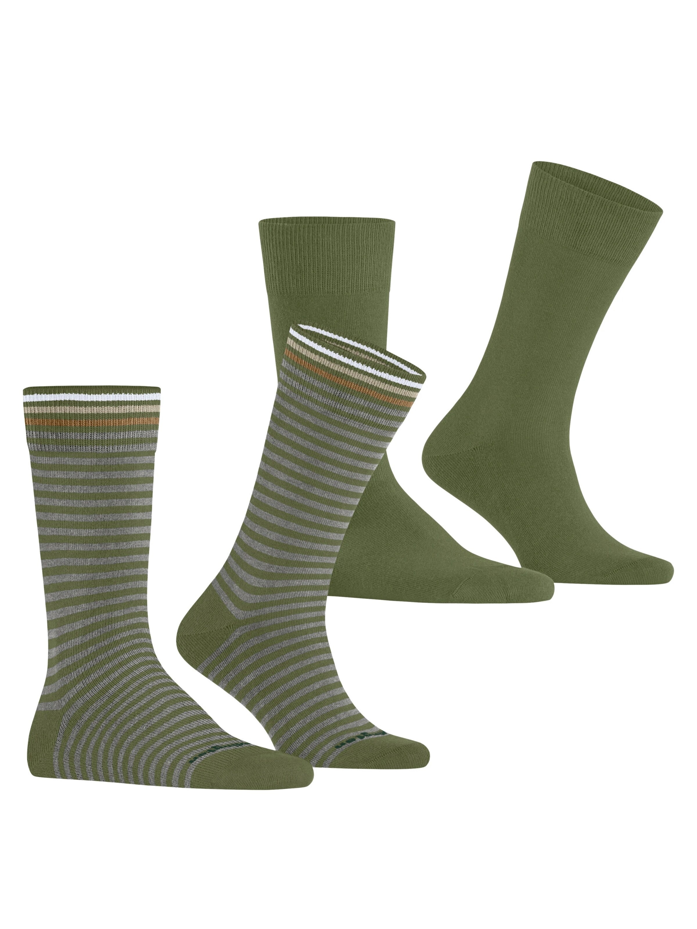 BURLINGTON Socks 'Everyday Stripe 2-Pack' in Green
