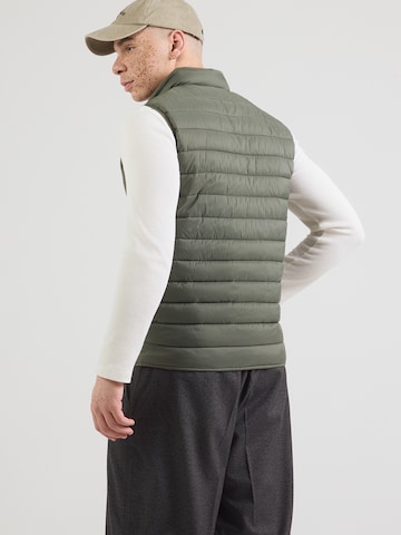 Hackett London Vesta - Zelená: zadná strana