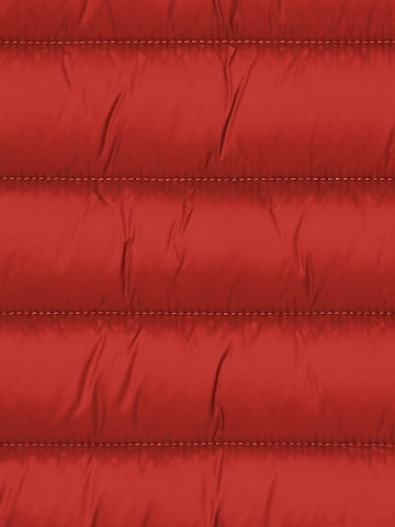 SAVE THE DUCK Tussenjas 'Alexander' in Rood