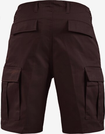 Regular Pantalon fonctionnel 'Dasht' normani en marron