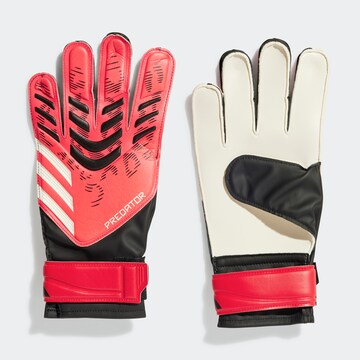 ADIDAS PERFORMANCE Sports gloves 'Predator' in Black: front