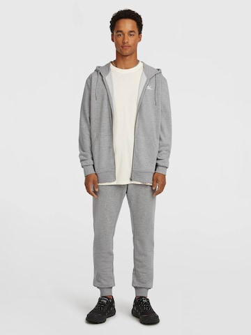 O'NEILL Tapered Pants in Grey