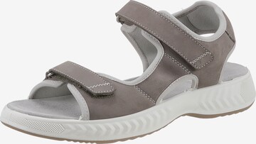 ARA Sandals in Grey: front
