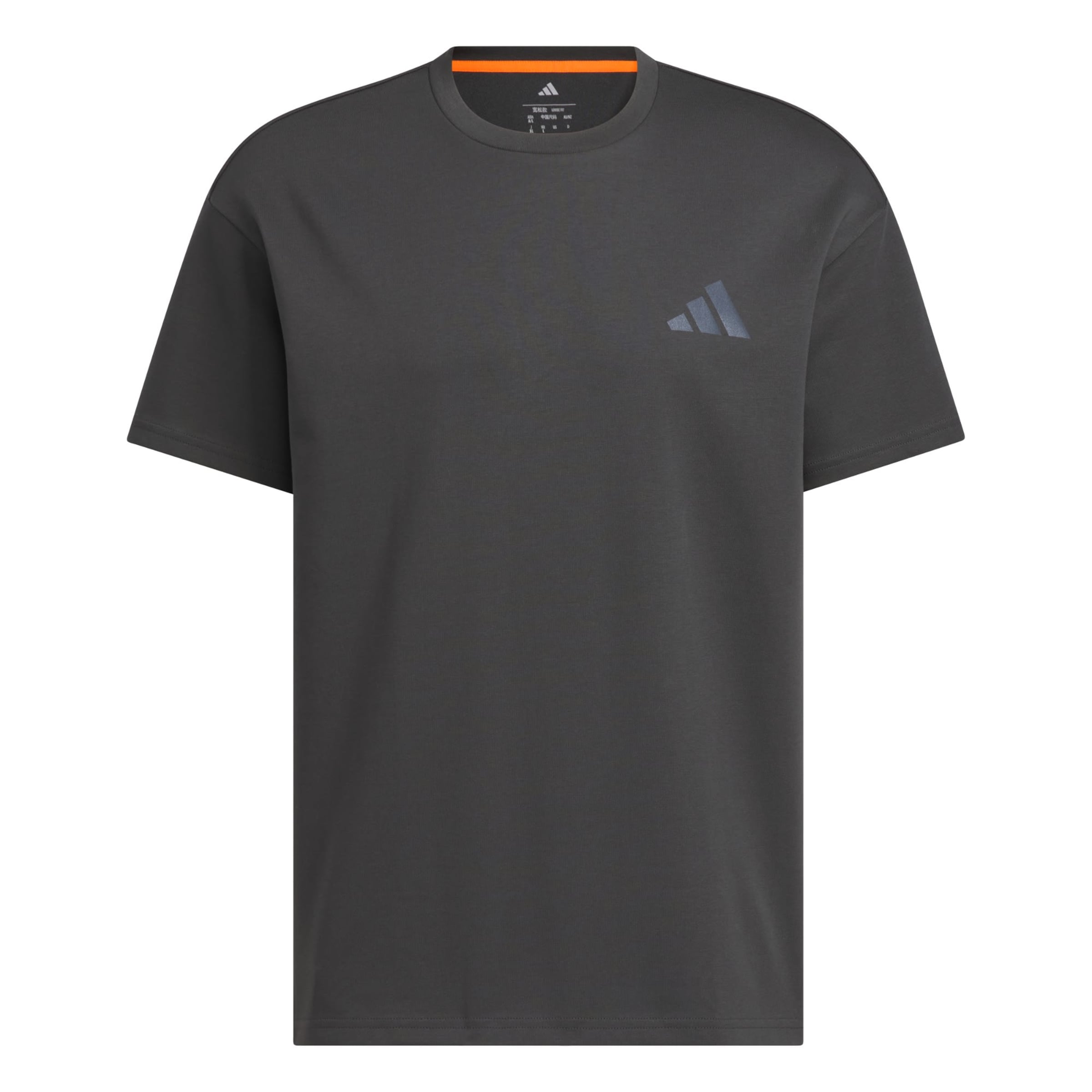ADIDAS TERREX - Camiseta funcional 'Xploric' en gris: frente