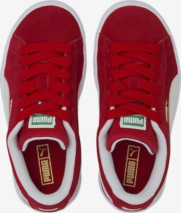 PUMA Sneaker 'Suede Classic XXI' in Rot