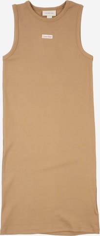Robe Calvin Klein Jeans en marron : devant