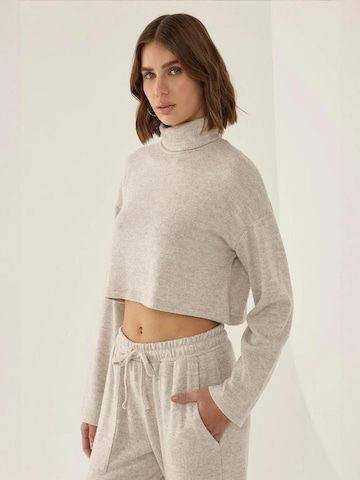 Pullover di Hiccup in grigio
