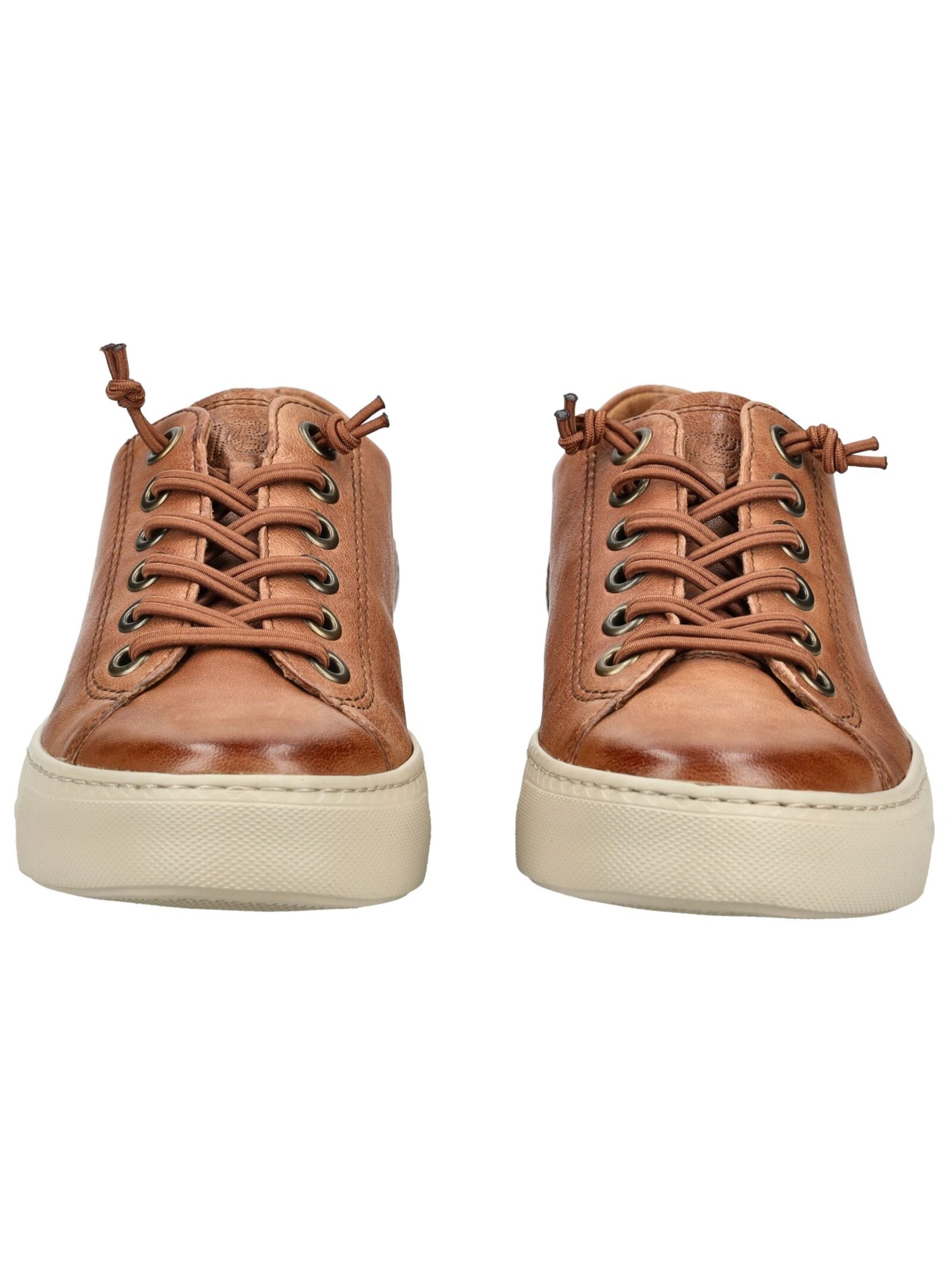 Baskets basses Paul Green en marron