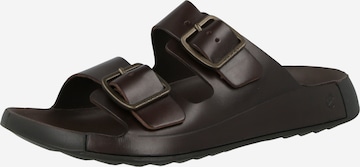 ECCO Pistokkaat värissä ruskea: etupuoli