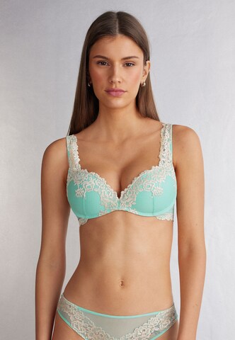 INTIMISSIMI Push-up Bra in Green: front