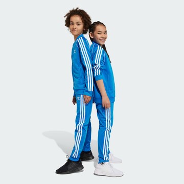 ADIDAS ORIGINALS Tapered Broek 'Adicolor' in Blauw