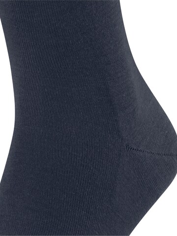 FALKE Socks 'Airport' in Blue