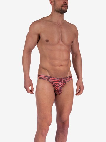 Olaf Benz Panty 'RED2360' in Red: front