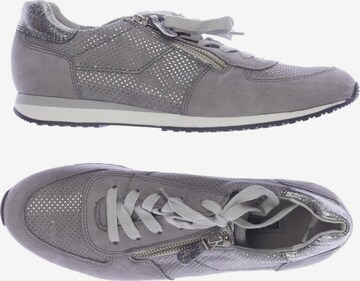 Paul Green Sneakers & Trainers in 38 in Grey: front