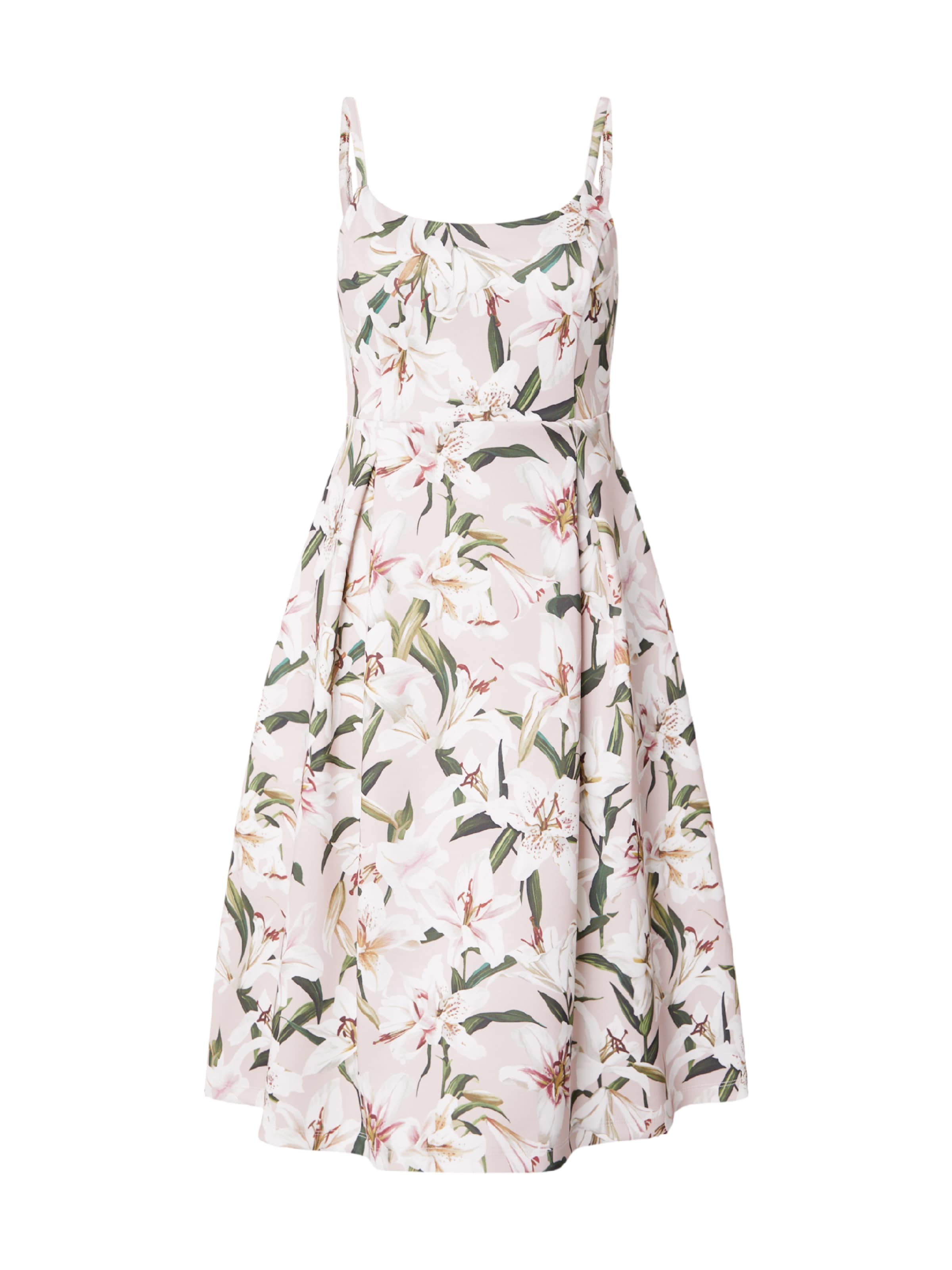 ABOUT YOU Koktel haljina 'Payton' u tamno zelena / magenta / rosé / bijela, Pregled proizvoda