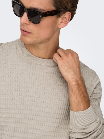 Only & Sons - Jersey 'ONSBerry' en gris