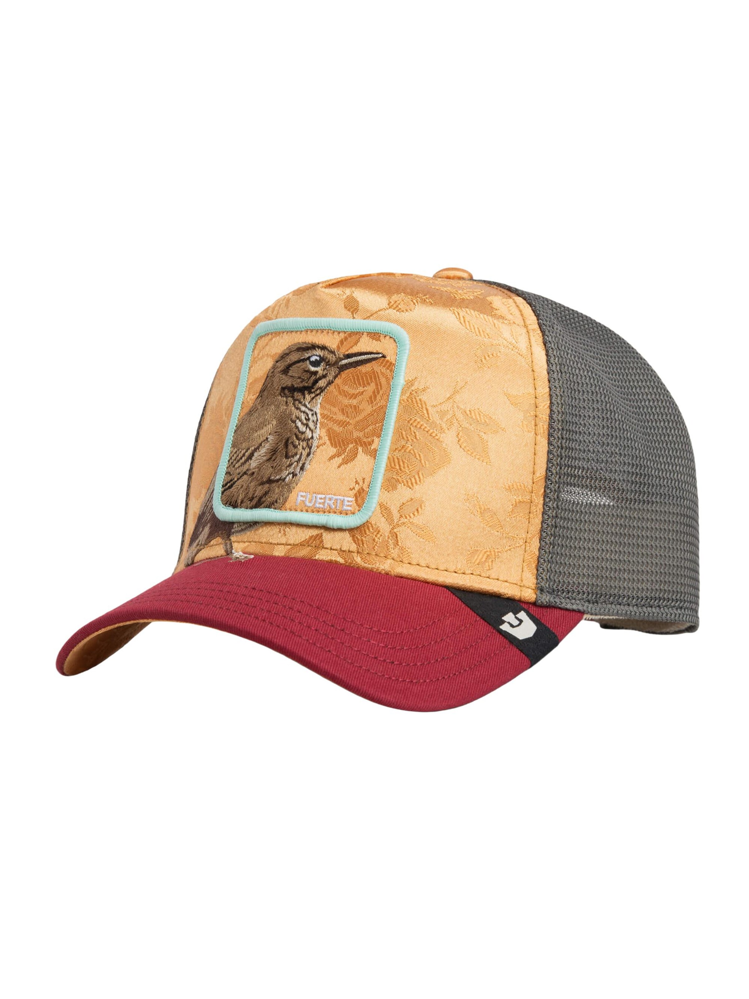 GOORIN Bros. Cap 'Costa Rica Thrush' in Mixed colors: front