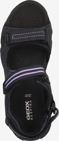 GEOX Hiking Sandals 'D Abyes C' in Blue