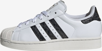 balta ADIDAS ORIGINALS Sportbačiai be auliuko 'Superstar II': priekis