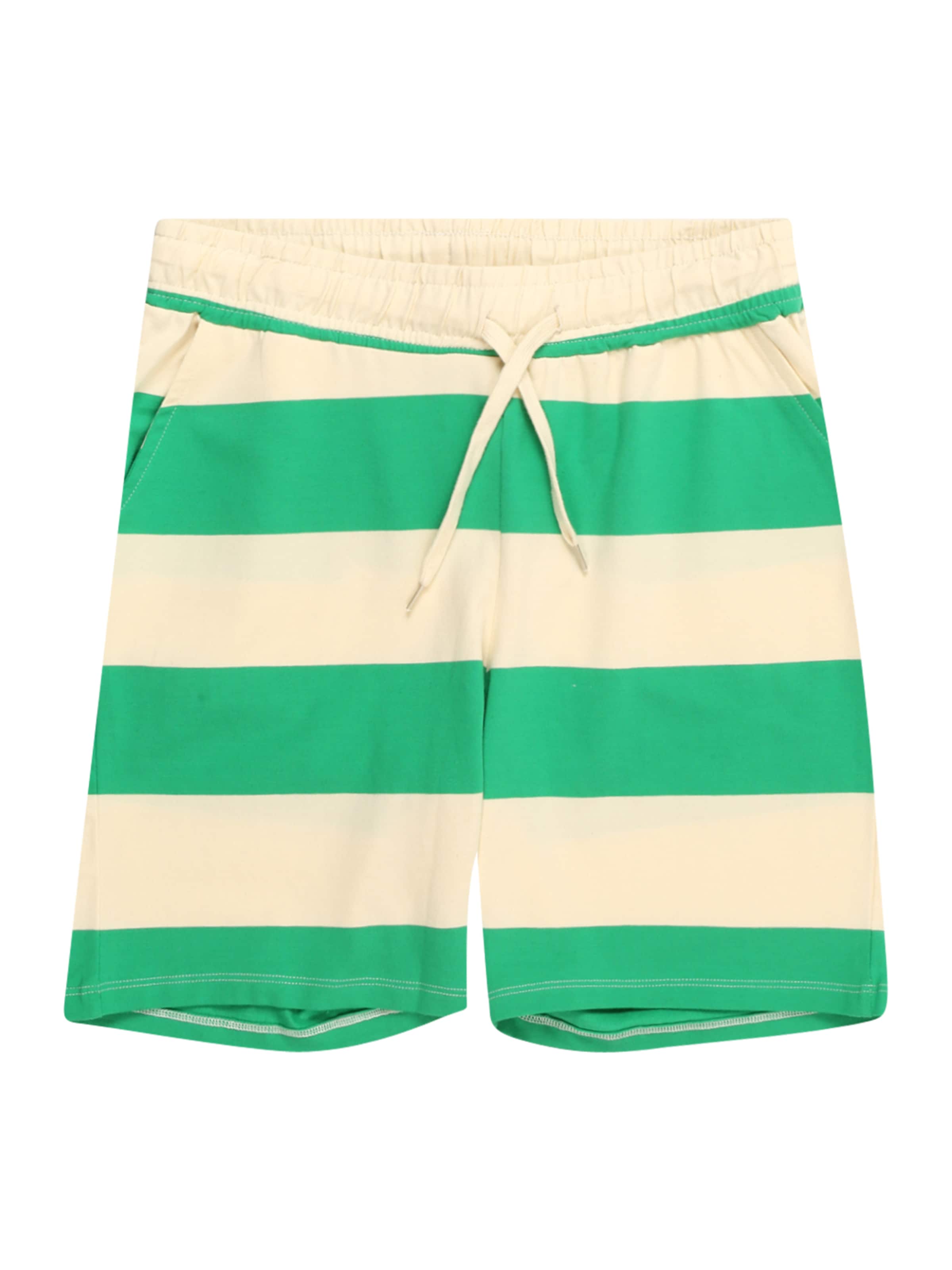 The New - regular Pantalón 'Jae' en verde: frente