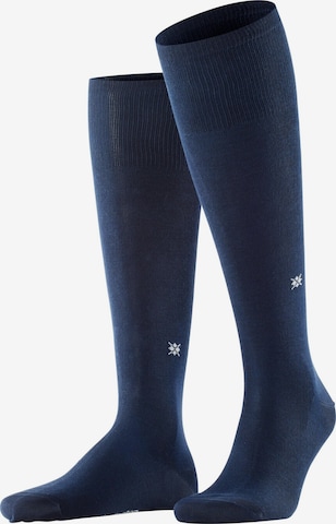 BURLINGTON Knee High Socks 'Dublin' in Blue: front
