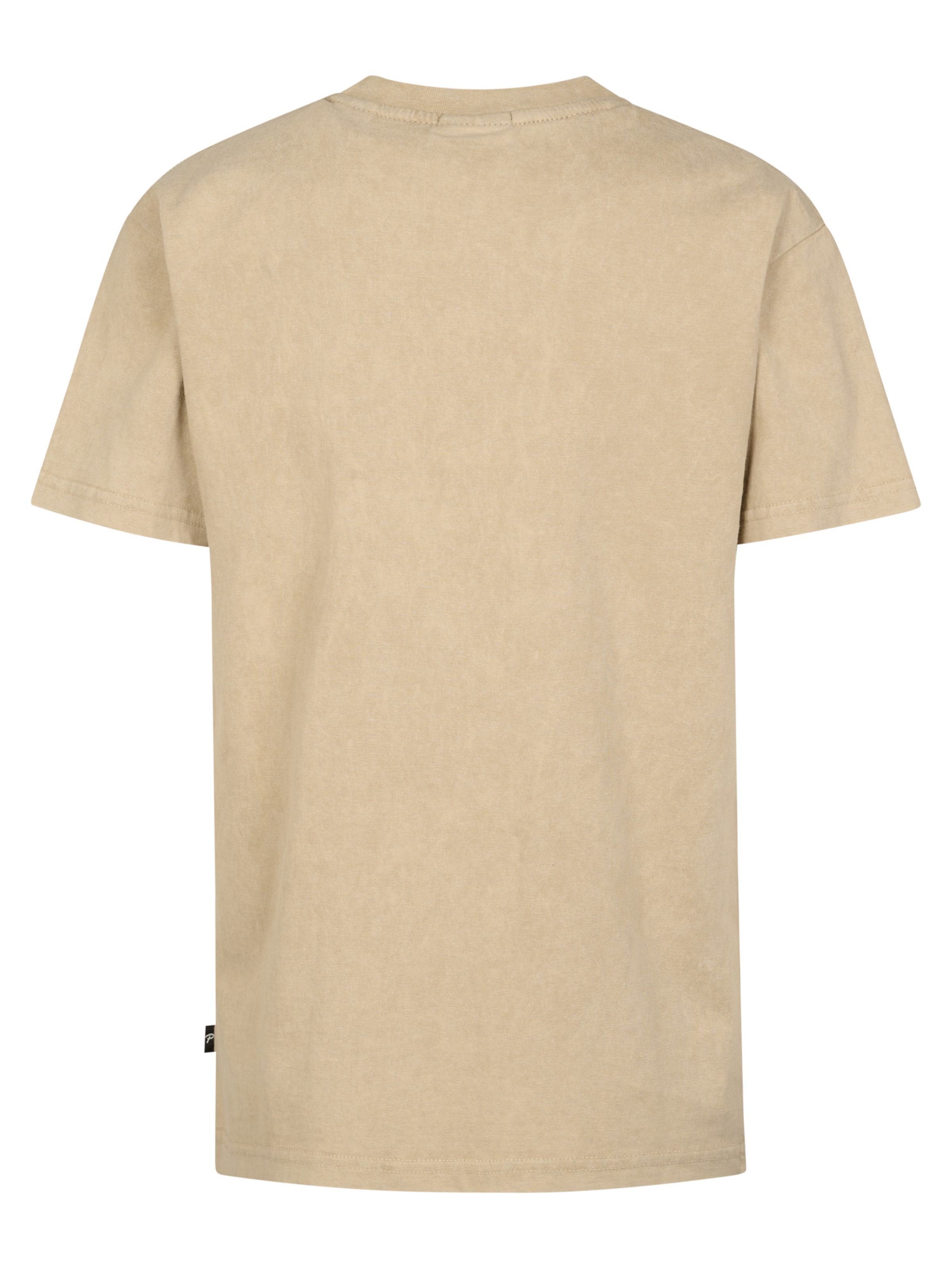 Petrol Industries Shirt 'Pitaya' in Beige