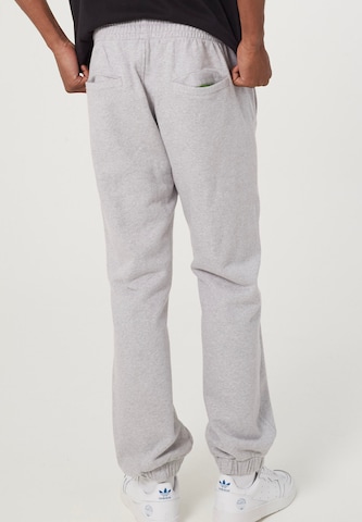 THAT GORILLA BRAND Regular Pants in Grey