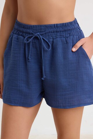 Trendyol Regular Broek in Blauw: voorkant
