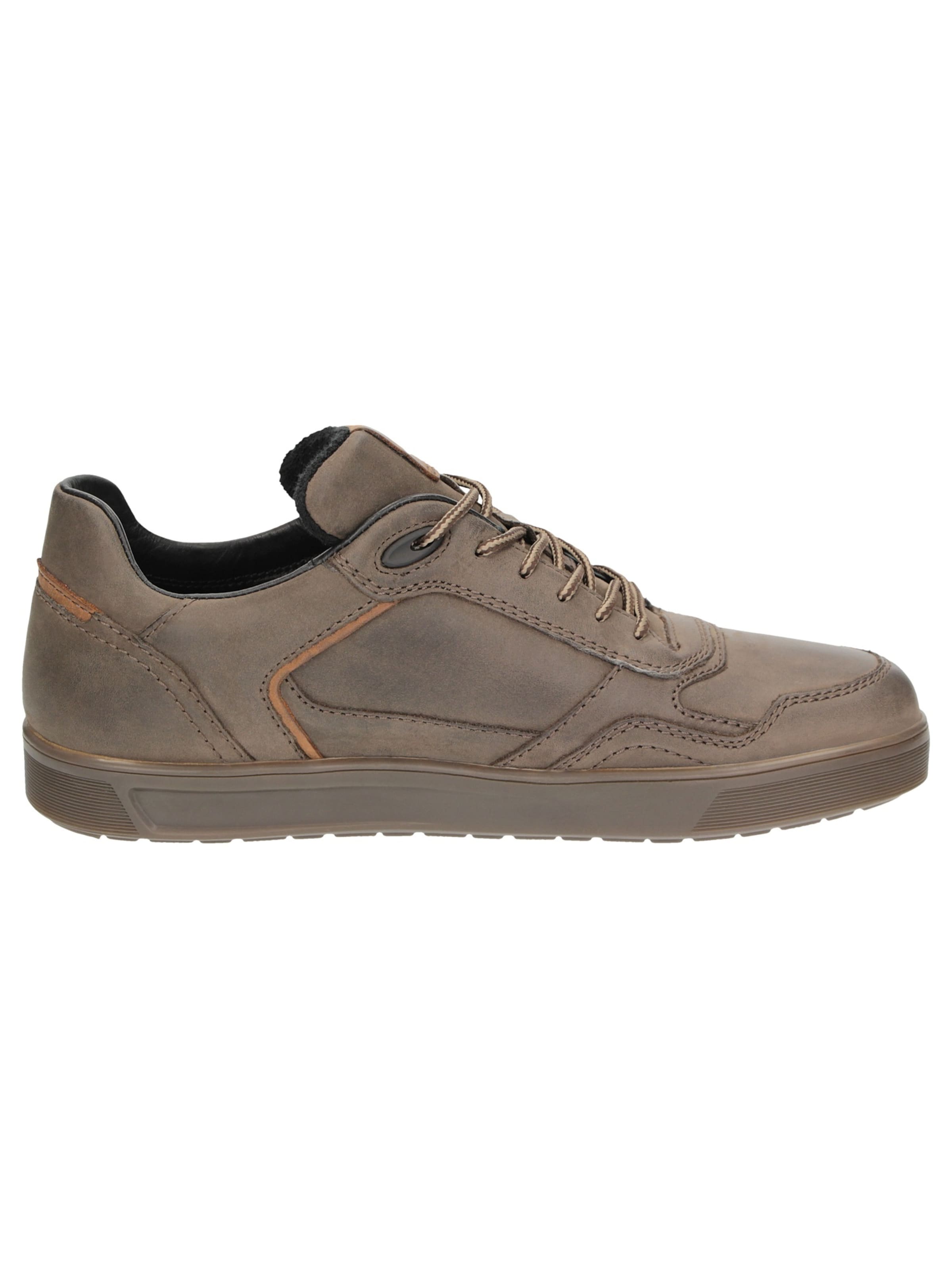 SIOUX Sneakers laag ' Tedroso-706-TEX ' in Bruin