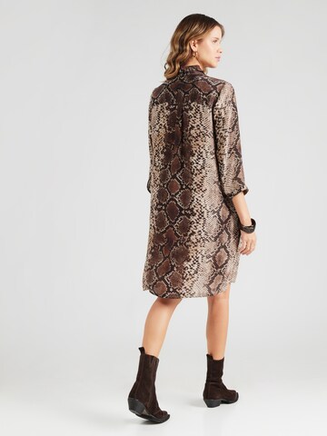 PRINCESS GOES HOLLYWOOD Kleid in Braun