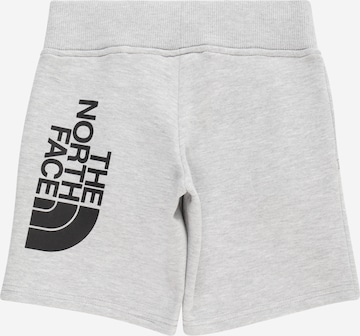 THE NORTH FACE Regular Sports trousers in Grey