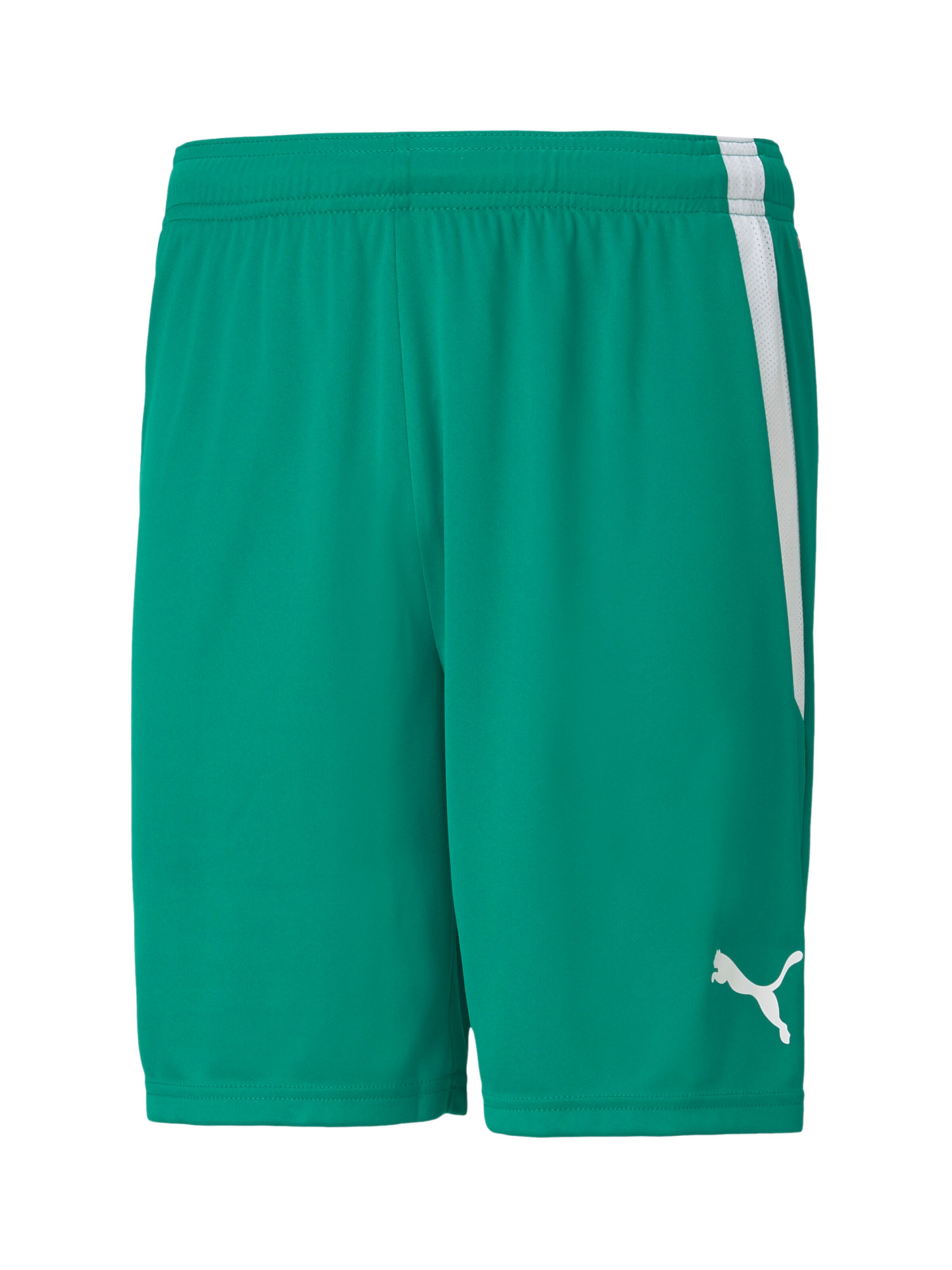 PUMA Sporthose in Grün: Vorderseite