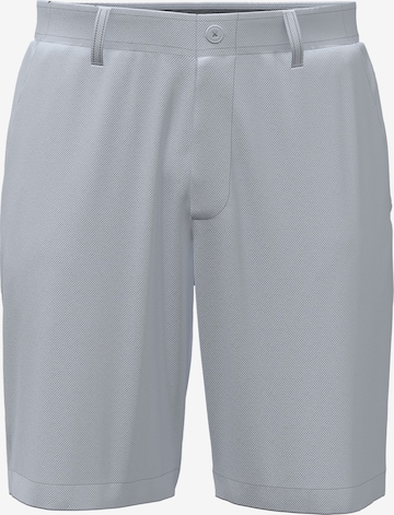UNDER ARMOUR Sportbroek in Grijs: voorkant