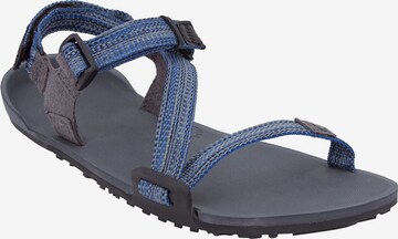 Xero Shoes Sandale in Blau: predná strana