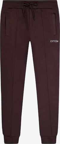 ESTEEM Broek in Bruin: voorkant