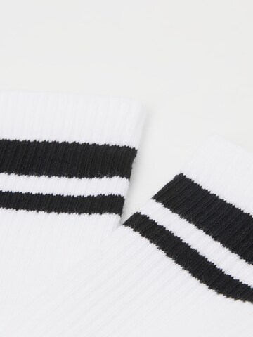 CALZEDONIA Socks in White