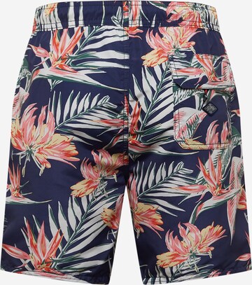 Superdry Swimming shorts in Blue