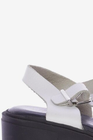Bianco Sandals & High-Heeled Sandals in 38 in White