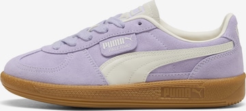 PUMA Platform trainers 'Palermo' in Purple: front