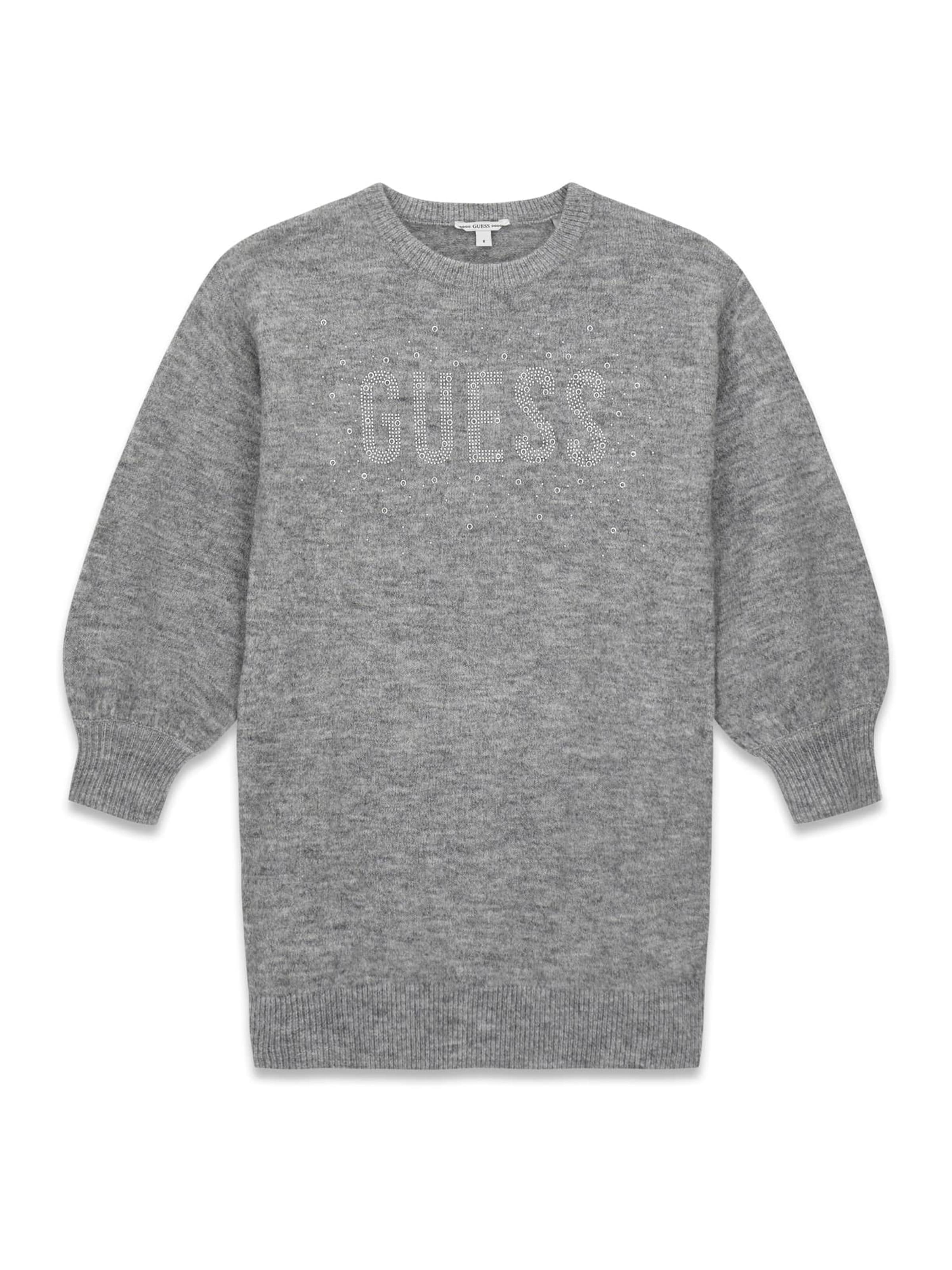 GUESS Dress in Grey: front
